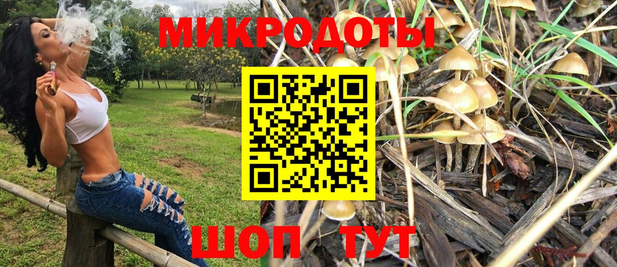 Псилоцибиновые грибы Magic Shrooms Шебекино