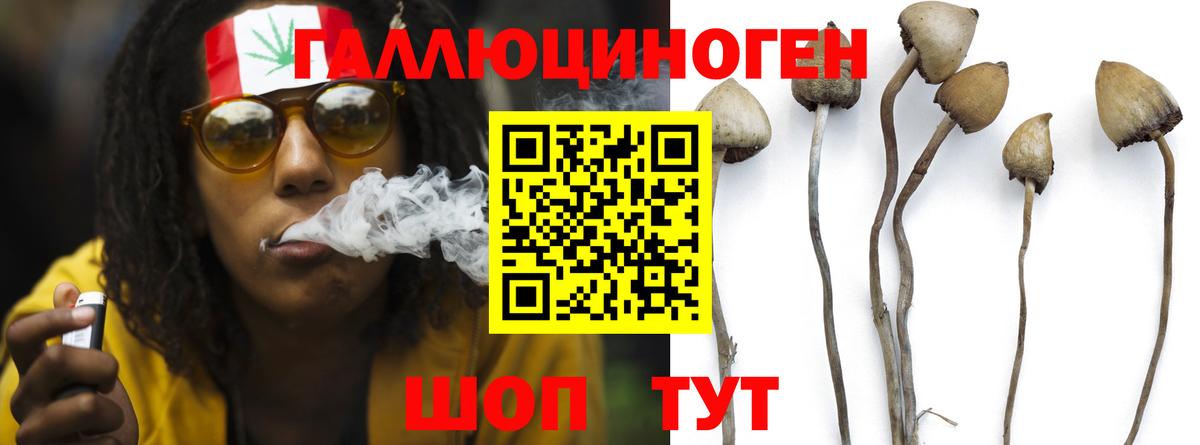 Галлюциногенные грибы мицелий  как найти закладки  Псилоцибиновые грибы мухоморы  Шебекино  Вход с VPN 